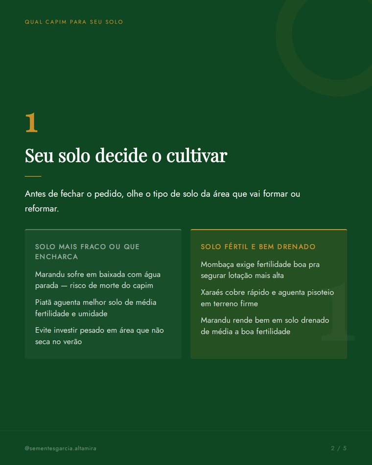 Post de conteúdo do agronegócio produzido pelo Insive Studio