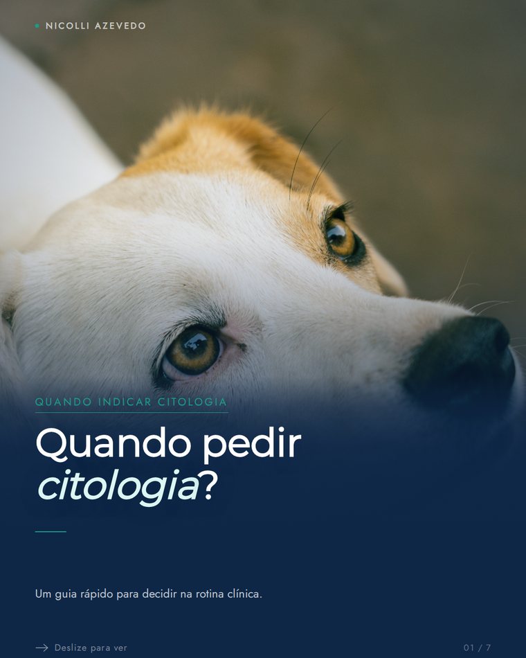 Exemplo real de conteúdo veterinário do Insive Studio