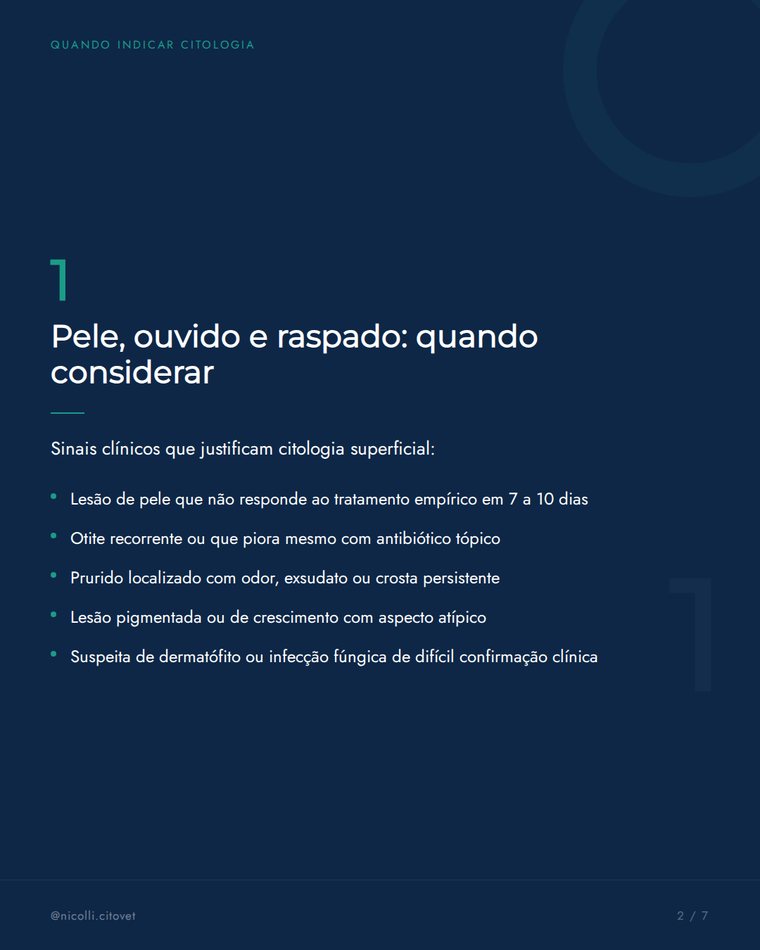 Carrossel de conteúdo veterinário produzido pelo Insive Studio